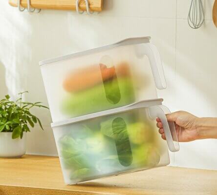 Fridge Organizer with Lid and Handle-Storage To Keep Fresh for Food