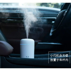 USB Rechargeable Portable Mini Humidifier with Lights