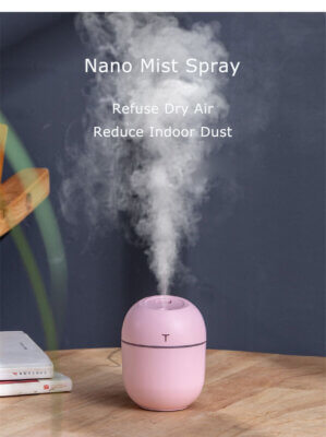 USB Rechargeable Moisturizing Nano Mist Sprayer