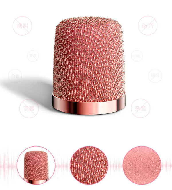 Wireless Bluetooth Karaoke Microphone