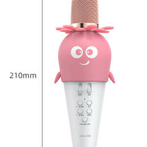 Wireless Bluetooth Karaoke Microphone