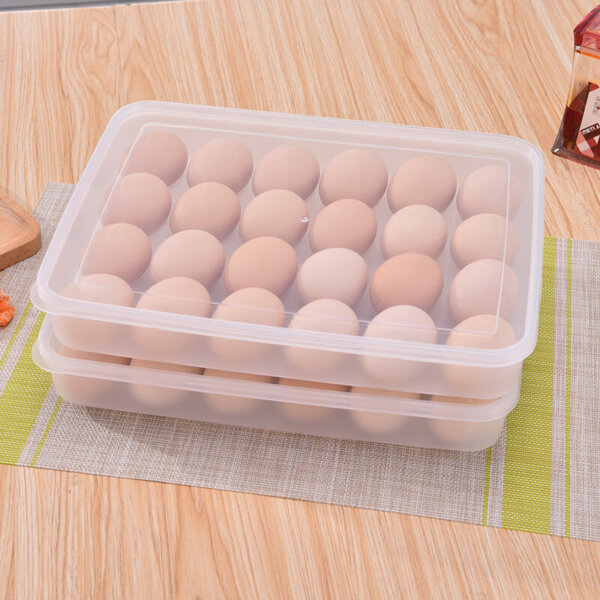 24 Eggs Plastic Egg Storage Container with Lid