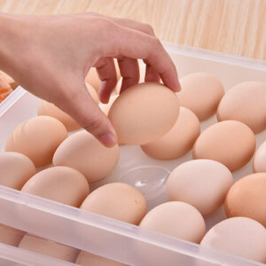 24 Eggs Plastic Egg Storage Container with Lid