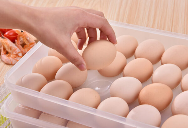 24 Eggs Plastic Egg Storage Container with Lid