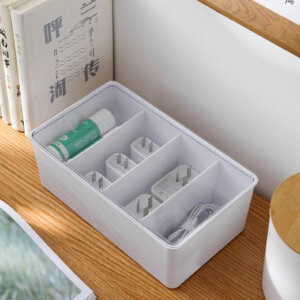 Multifunctional Organizer with Adjustable Dividers