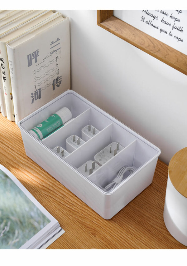 Multifunctional Organizer with Adjustable Dividers