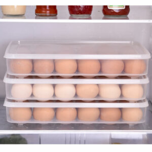 24 Eggs Plastic Egg Storage Container with Lid