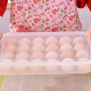 24 Eggs Plastic Egg Storage Container with Lid