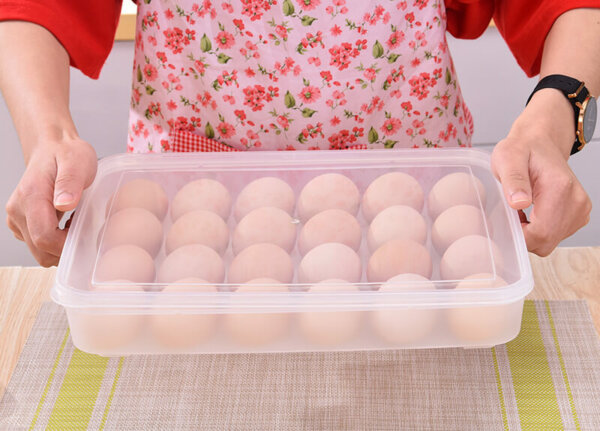 24 Eggs Plastic Egg Storage Container with Lid