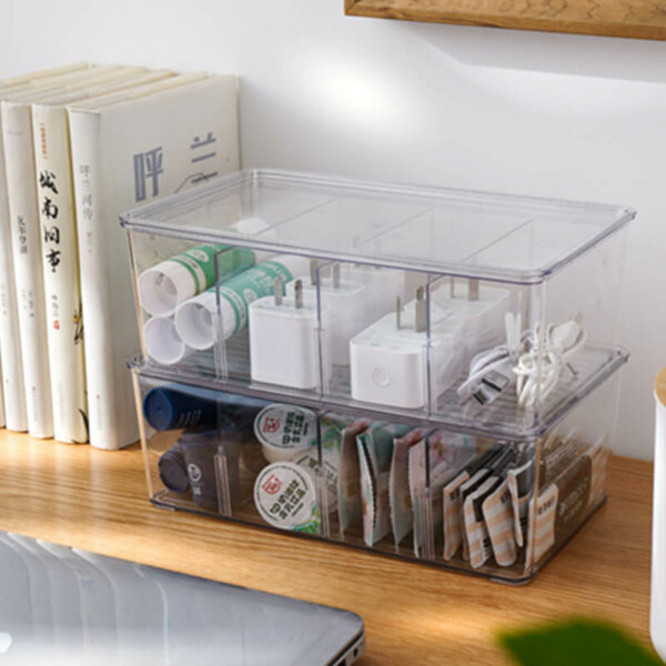 Multifunctional Organizer with Adjustable Dividers