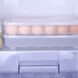 24 Eggs Plastic Egg Storage Container with Lid