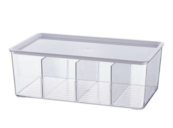 Multifunctional Organizer with Adjustable Dividers