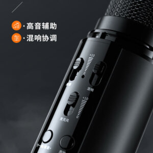 Rechargeable Bluetooth Microphone Karaoke Speaker with Voice Changing Effects