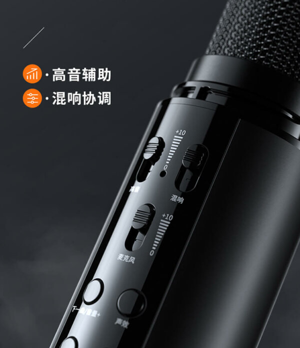 Rechargeable Bluetooth Microphone Karaoke Speaker with Voice Changing Effects