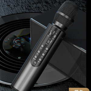 Rechargeable Bluetooth Microphone Karaoke Speaker