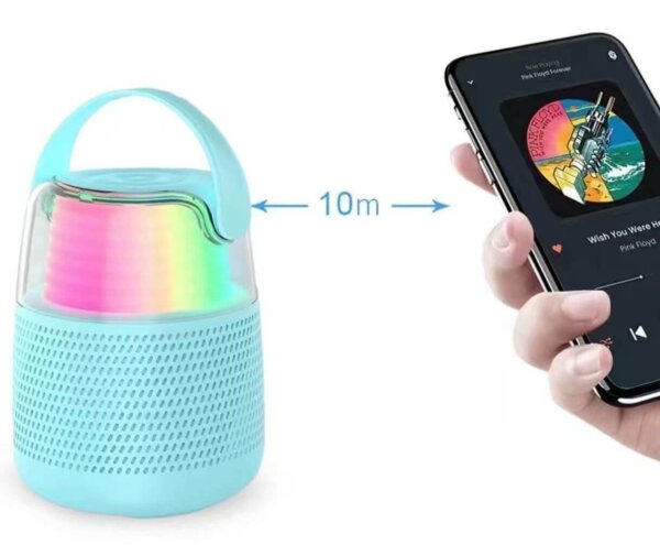 Rechargeable Bluetooth Karaoke Speaker with Microphone and Dynamic Lights