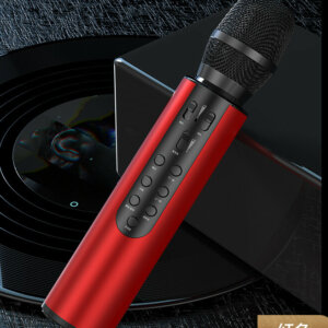 Rechargeable Bluetooth Microphone Karaoke Speaker