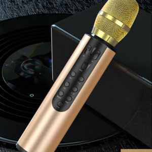 Rechargeable Bluetooth Microphone Karaoke Speaker