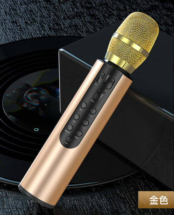 Rechargeable Bluetooth Microphone Karaoke Speaker