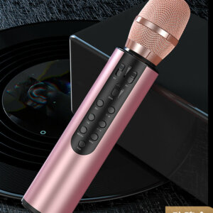 Rechargeable Bluetooth Microphone Karaoke Speaker