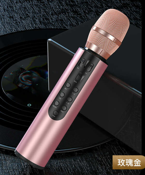 Rechargeable Bluetooth Microphone Karaoke Speaker