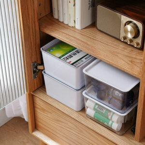 Multifunctional Organizer with Adjustable Dividers