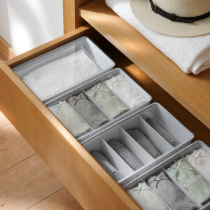 Multifunctional Organizer with Adjustable Dividers