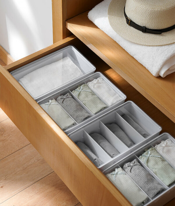 Multifunctional Organizer with Adjustable Dividers