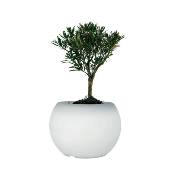 Globe Flower Pot 5