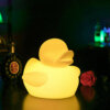 Waterproof Floating duck light 4