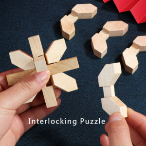 Wooden Burr Puzzles 3
